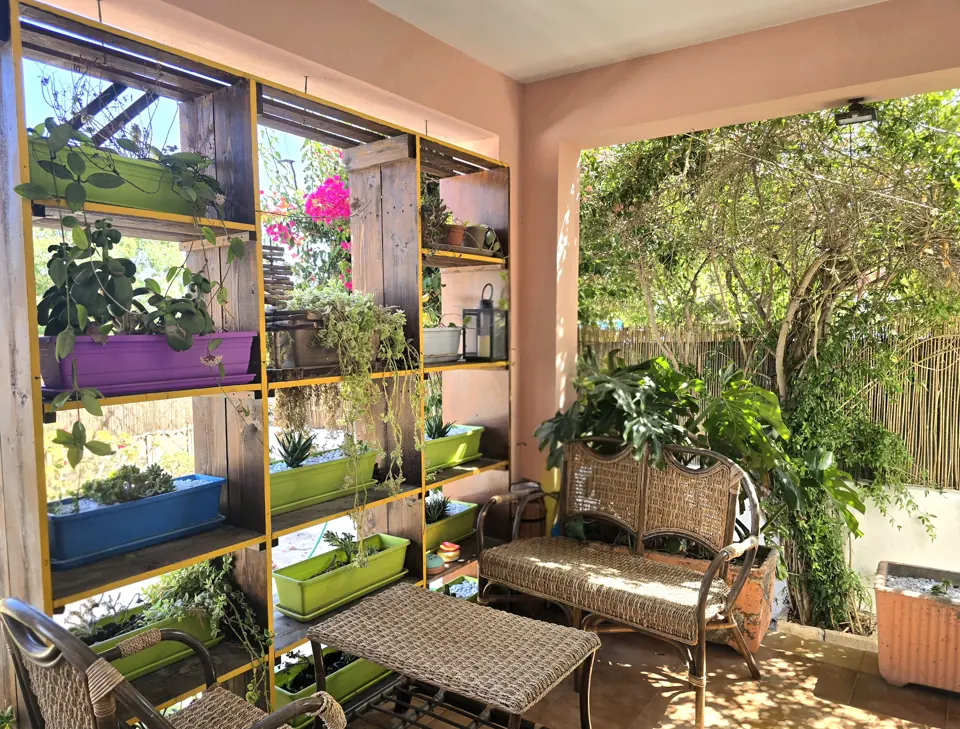 The covered veranda, among plants and rattan seats